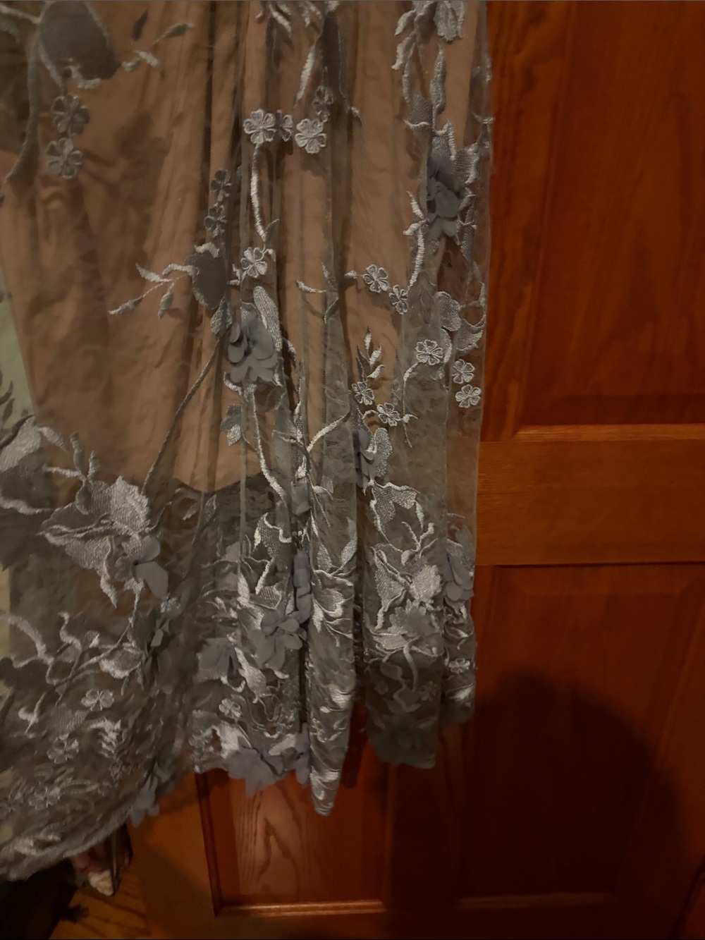 Dress the population Sleeveless Embroidered Lace OverlayDress in - Picture 11 of 15